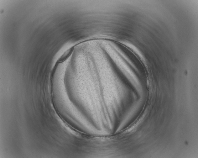 X0000070340910200606301737