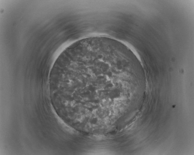 X0000070340911200606301737