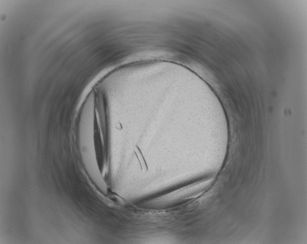 X0000070340912200606301737