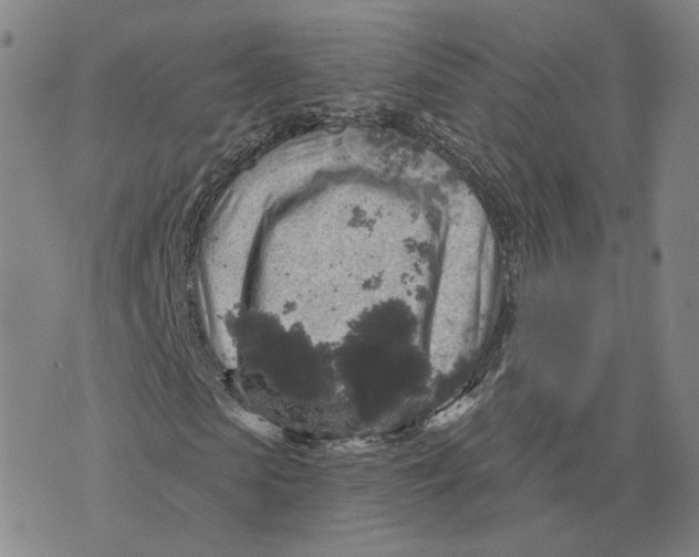 X0000070340913200606301737