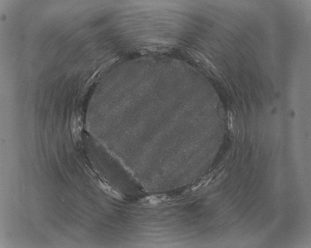 X0000070340915200606301737