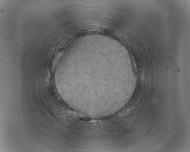 X0000070340916200606301737