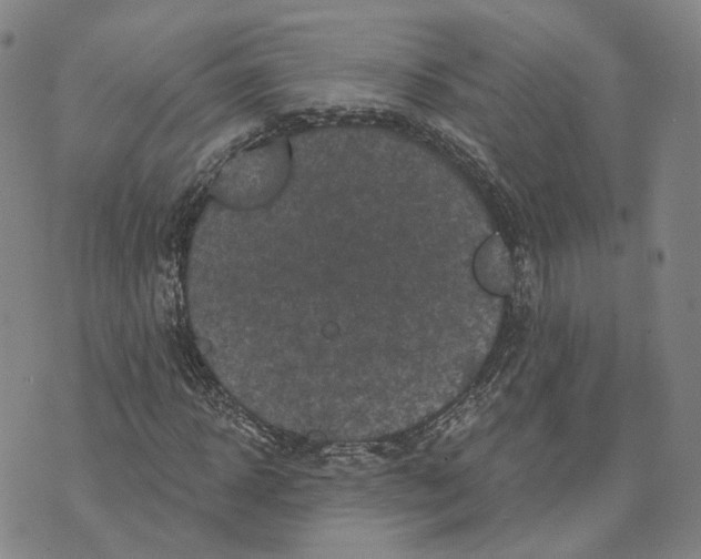 X0000070340918200606301737