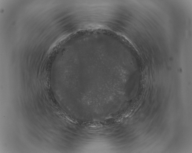 X0000070340919200606301737