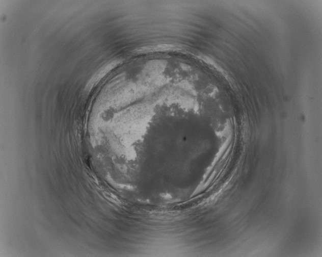 X0000070340921200606301737