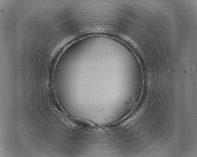 X0000070340922200606301737