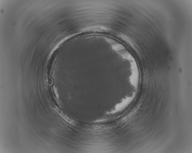 X0000070340923200606301737