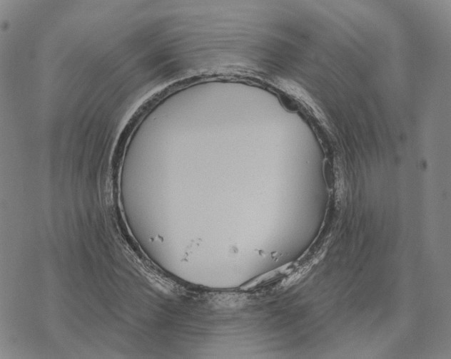 X0000070340924200606301737