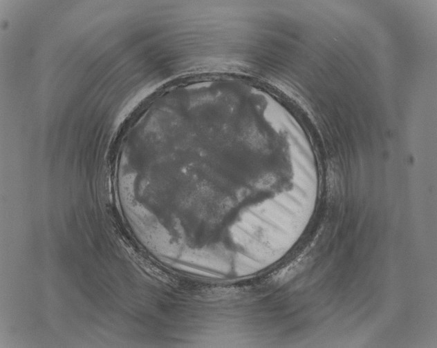 X0000070340925200606301737