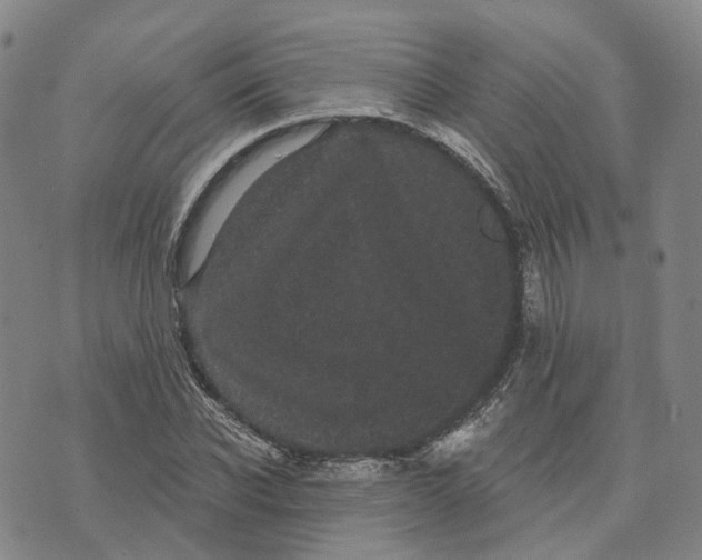 X0000070340926200606301737