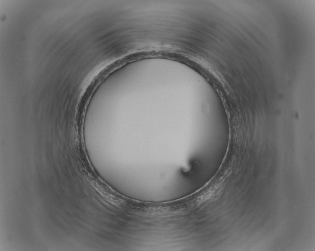 X0000070340927200606301737