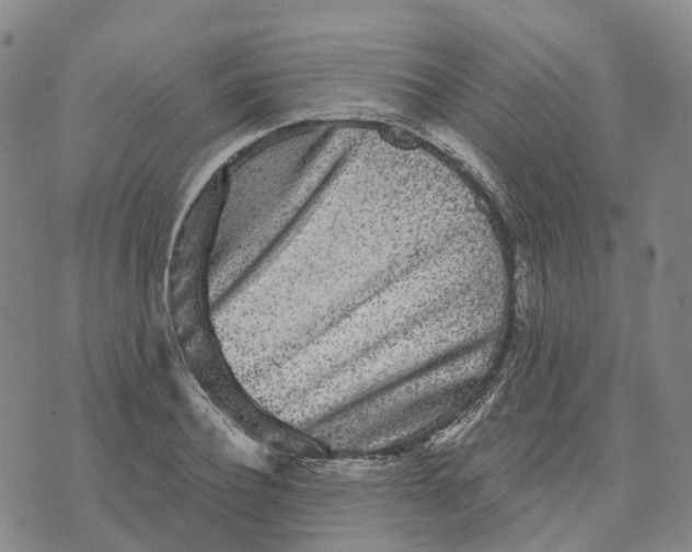 X0000070340932200606301737