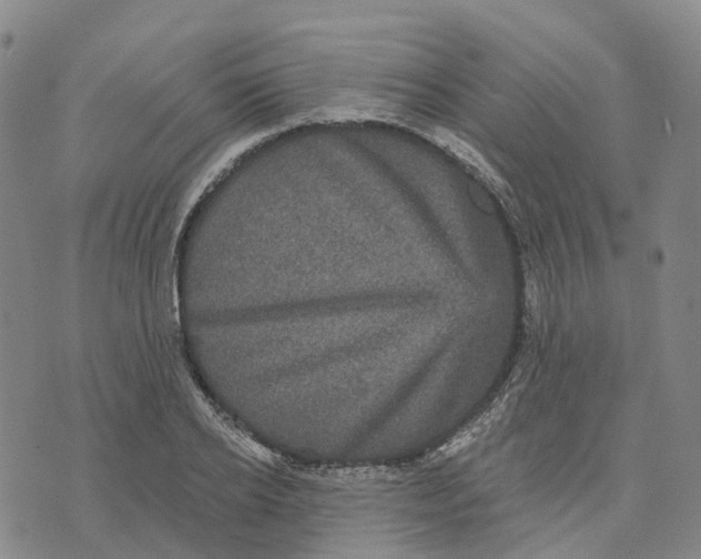 X0000070340934200606301737