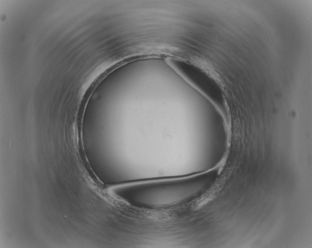 X0000070340936200606301737