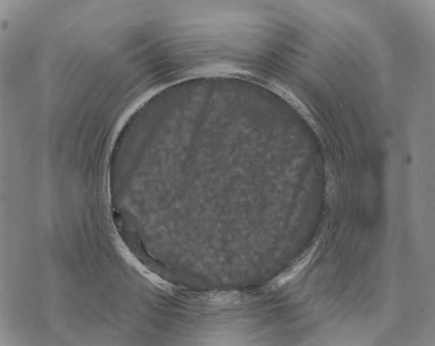 X0000070340939200606301737