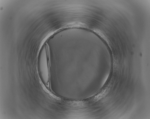 X0000070340941200606301737