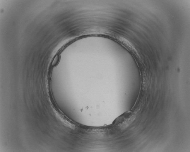 X0000070340942200606301737