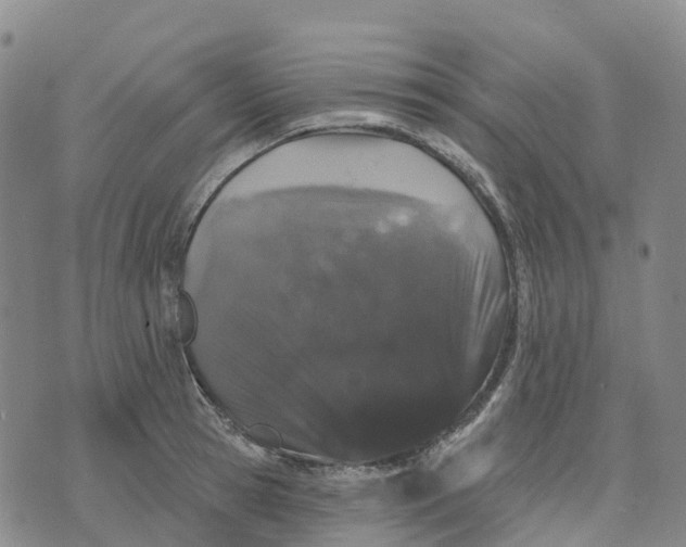 X0000070340945200606301737