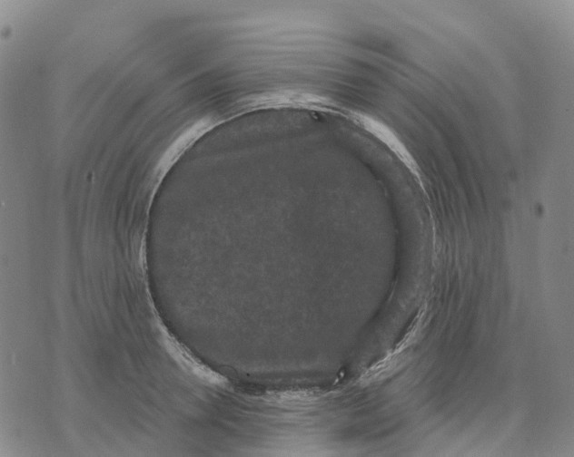 X0000070340946200606301737