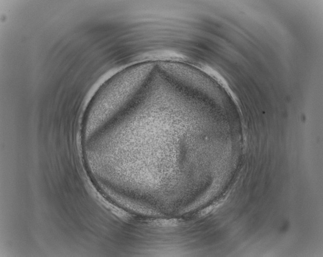 X0000070340947200606301737