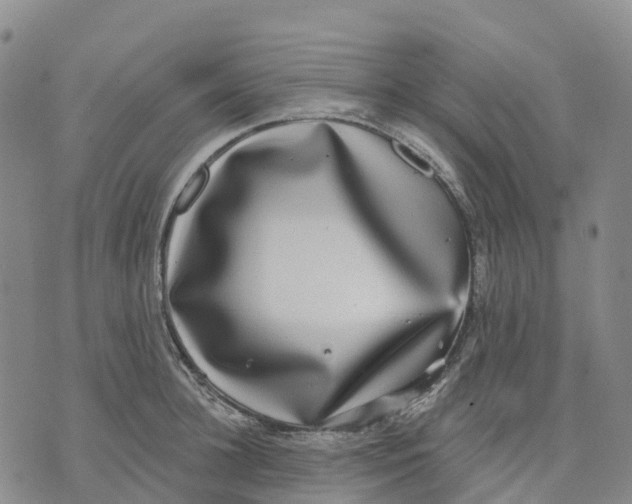 X0000070340948200606301737