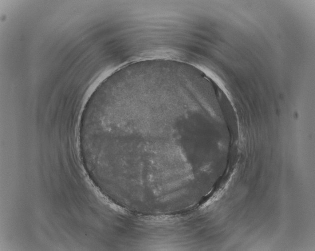 X0000070340949200606301737