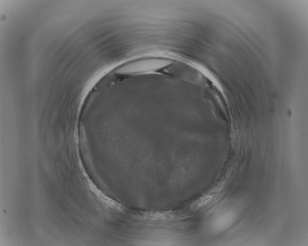 X0000070340951200606301737