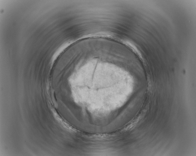 X0000070340952200606301737