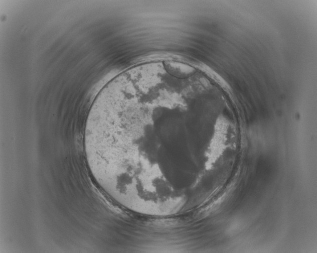 X0000070340953200606301737