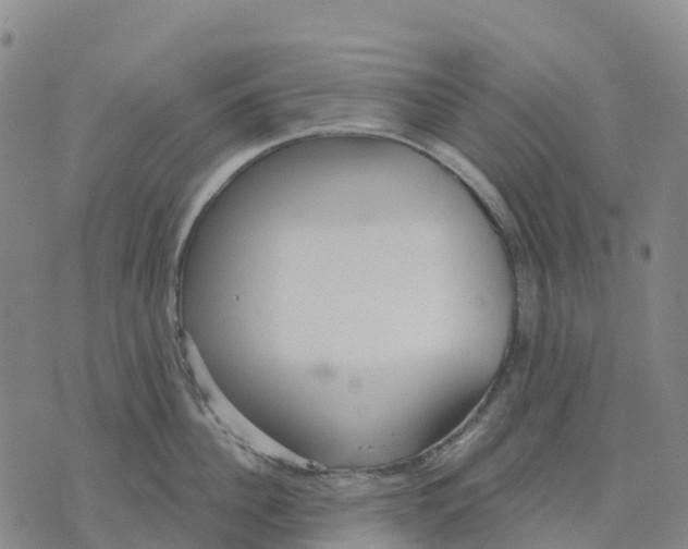 X0000070340956200606301737