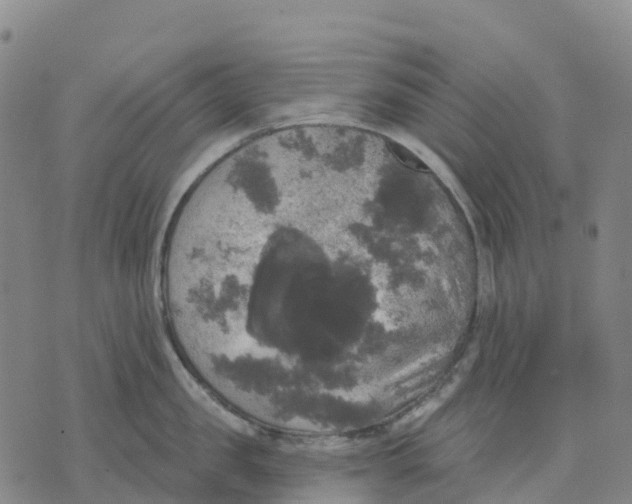 X0000070340957200606301737