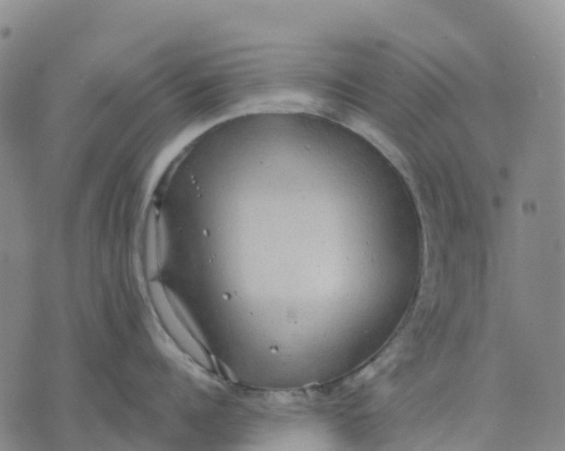 X0000070340960200606301737