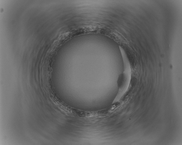 X0000070340961200606301737