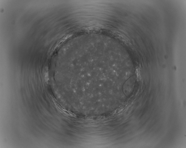 X0000070340963200606301737