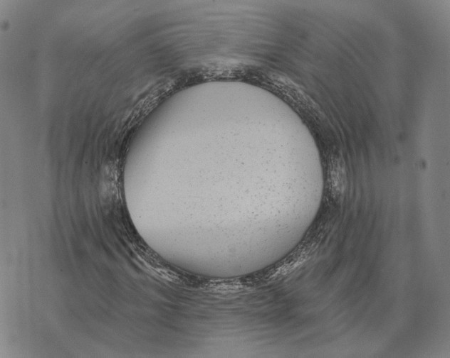 X0000070340964200606301737