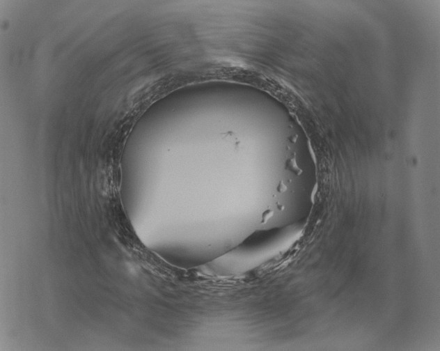 X0000070340965200606301737