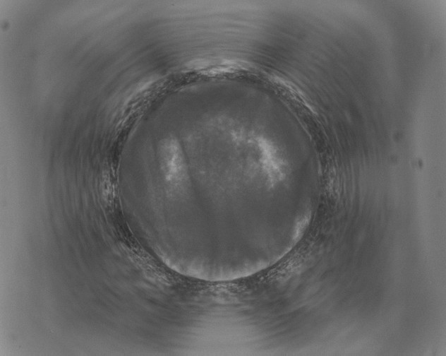 X0000070340966200606301737