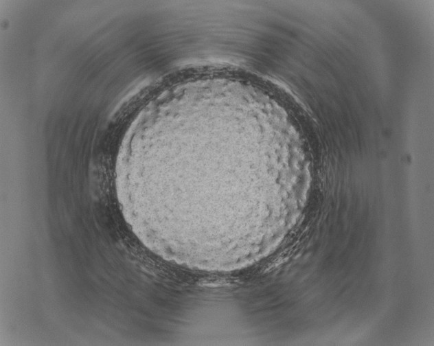 X0000070340967200606301737