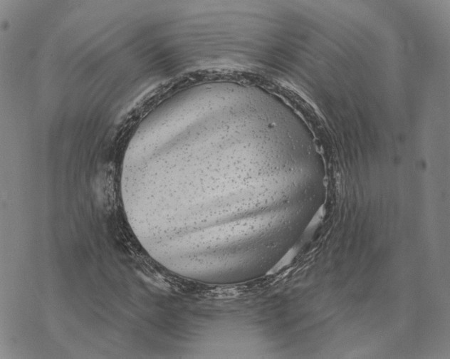 X0000070340968200606301737