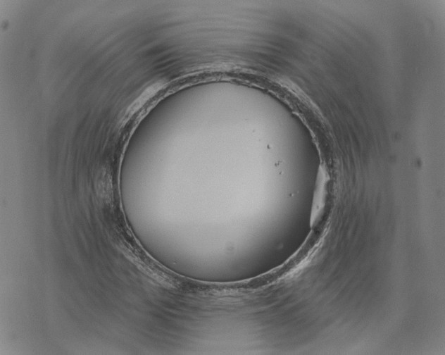 X0000070340969200606301737