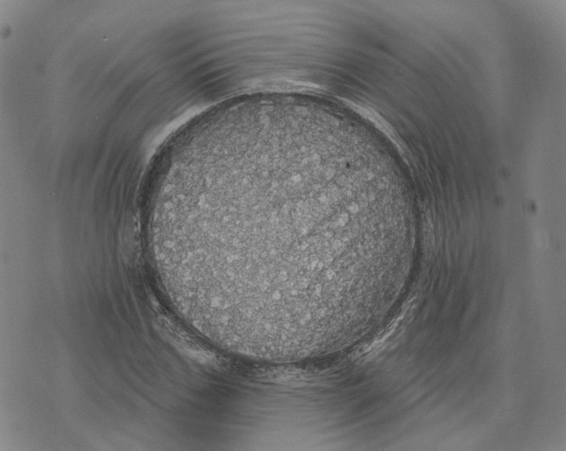 X0000070340971200606301736