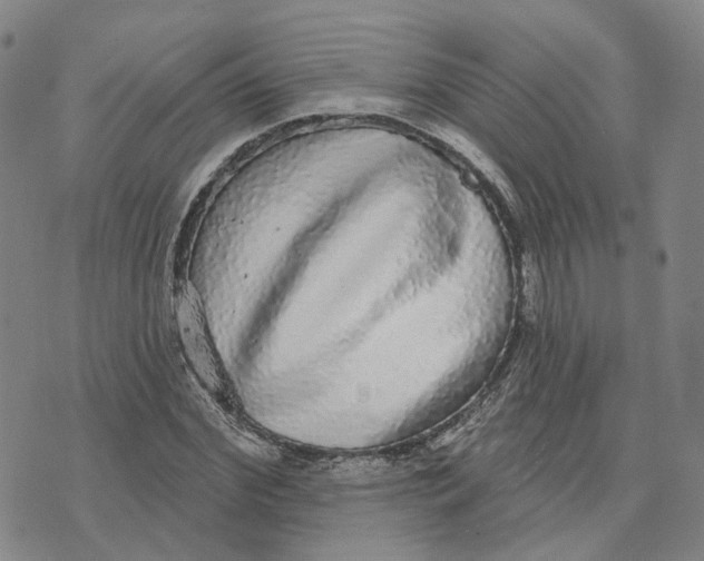 X0000070340972200606301736