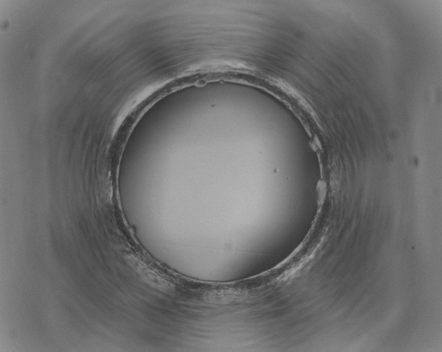 X0000070340973200606301736