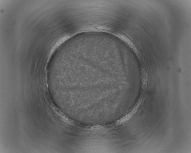 X0000070340974200606301736