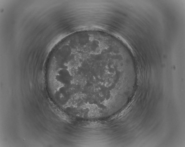 X0000070340975200606301736