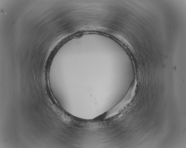 X0000070340976200606301736