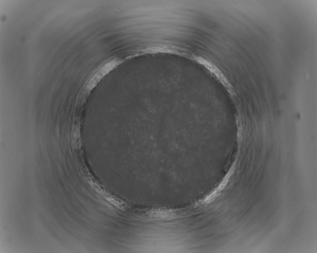 X0000070340977200606301736