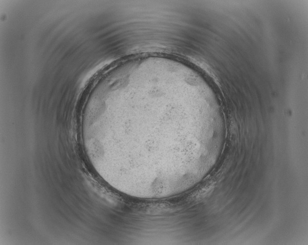 X0000070340979200606301736