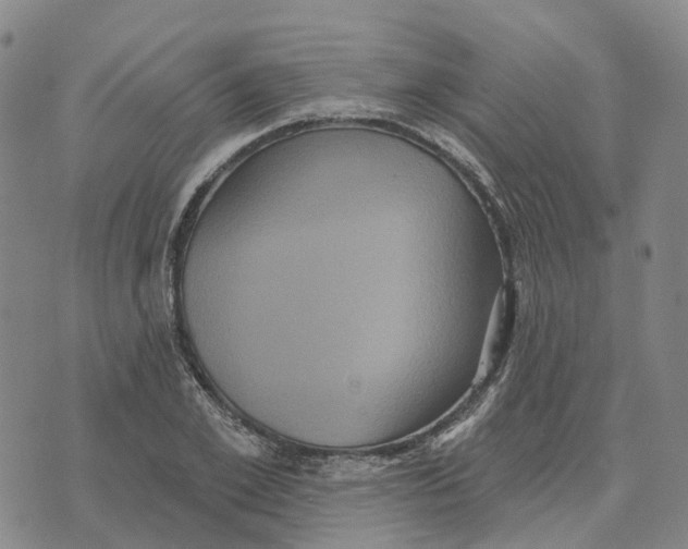 X0000070340981200606301736