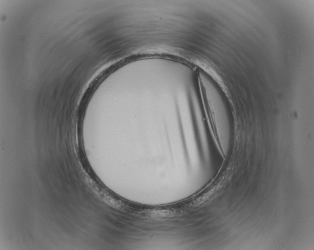 X0000070340984200606301736